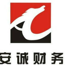 合肥財友財務(wù)管理咨詢公司