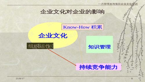 005132012年一力咨詢企業(yè)文化公司動力管理培訓教材 52頁 .ppt 互聯(lián)網(wǎng)文檔類資源 csdn下載