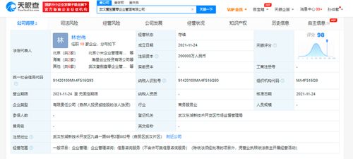 注資20億 小米在武漢成立企業管理公司,雷軍疑為實控人